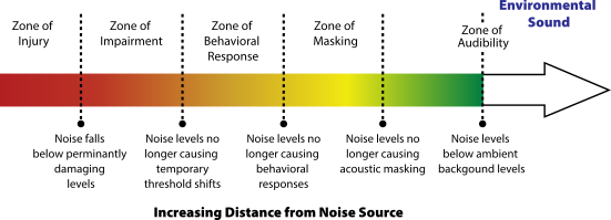 Figure: The potential effects of noise with distance from source. Generally, noise and impact on individual animals may be greater closer to the source. Effects change with increasing distance from the source, as the acoustic signals change including that received levels decrease. From Mooney et al. (2020).